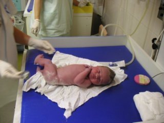joshenterstheworldat1444on16thdec2006.jpg